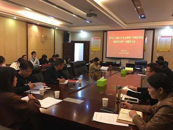 永兴集团yx08学习贯彻党的十九届六中全会精神