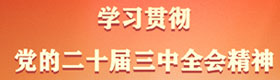 学习贯彻党的二十届三中全会精神